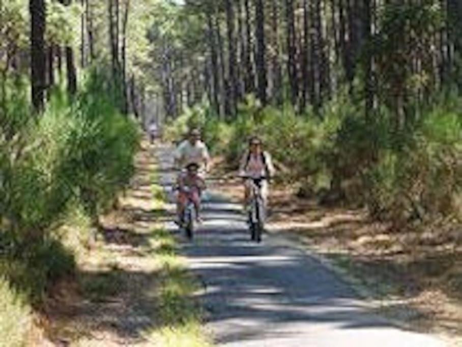 Maison De Vacances 4/5 Personnes A Leon, Landes Eksteriør bilde